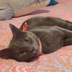 Meet your Posher, Hanna